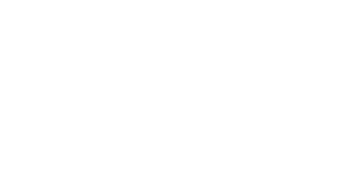 Logo Wegmann blanco sin fondo