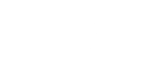 Logo Evalue blanco sin fondo